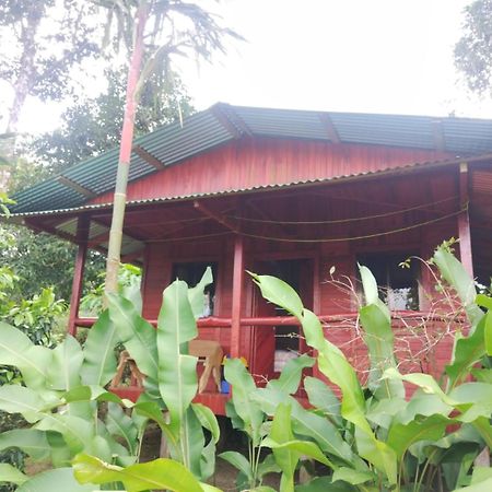 Cabanas Los Laguitos Rio Celeste El Achiote Exterior foto