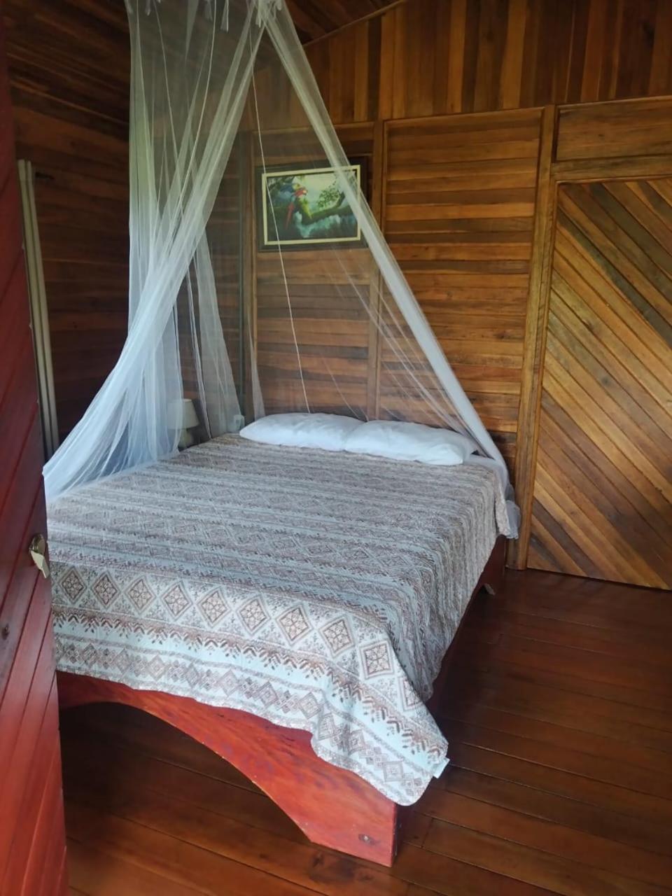 Cabanas Los Laguitos Rio Celeste El Achiote Exterior foto