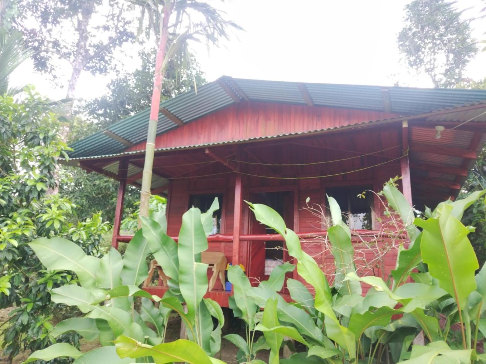 Cabanas Los Laguitos Rio Celeste El Achiote Exterior foto